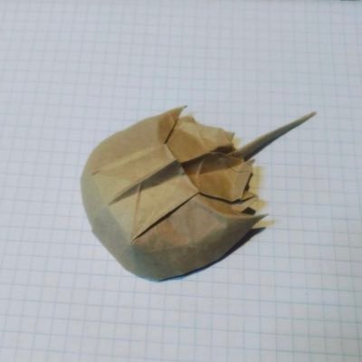 1-square no-cut origami celebrating biodiversity & evolution ☄🦕 折り紙好きな人。古生物や進化に興味してます。日本語をどこでも間違えたらごめんなさい🙏 Pliego cuadrados de papel en figuras de animales 🦈