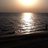 asmaaljarba's profile image