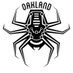 Oakland Spiders (@OaklandSpiders) Twitter profile photo