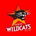 @PerthWildcats