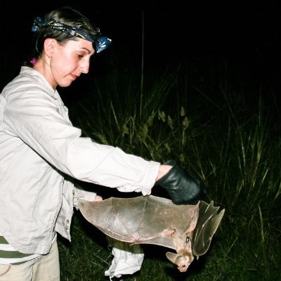 Senior lecturer at the University of the Sunshine Coast researching how animals cope physiologically with changes in their environment.