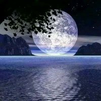 jose alfredo zavala Vasquez (@fredyva60478767) 's Twitter Profile Photo jose alfredo zavala Vasquez (@fredyva60478767) 's Twitter Profile Photo