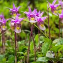 Charlotte Stone - @CharlotteS16111 - Twitter