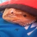 Eli Carroll - @CarrollEli34774 - Twitter