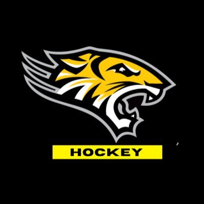 Official Twitter Account for Daniel Hand High School Boys Ice Hockey Team. #TigerPride 🏒🐯 SCC Champions 2011, 2013. Division II State Champions 2006, 2014.