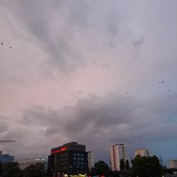 SubFagBLN (@subfagbln) 's Twitter Profile