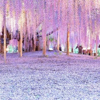 ふじさんのプロフィール画像