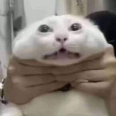 yullit_'s profile picture.