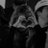 bug__13's profile image