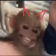 delma_minog's profile picture. I am a person of many attributes and hobbies