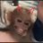 delma_minog's profile image