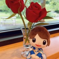 leecha🌹 (@leeluvsocha) 's Twitter Profile