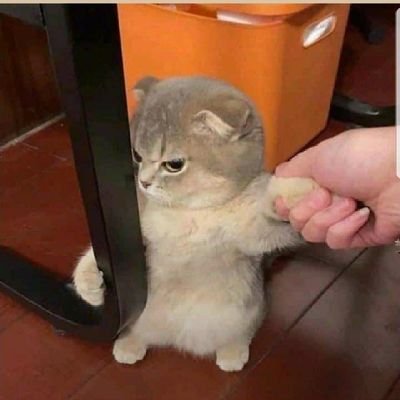 DarkNoob91's profile picture. 