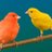 Tuamigocanario's profile image