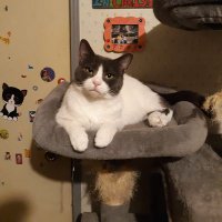 Delina Edmond💗😺💗 (@djthegang79) 's Twitter Profile