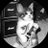 weenisdeadd's profile image