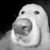 aleeee (@atiquete1mporta) Twitter profile photo aleeee (@atiquete1mporta) Twitter profile photo