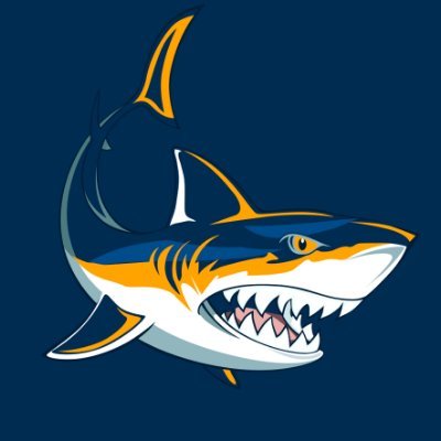 SharkProtocol_ Profile Picture