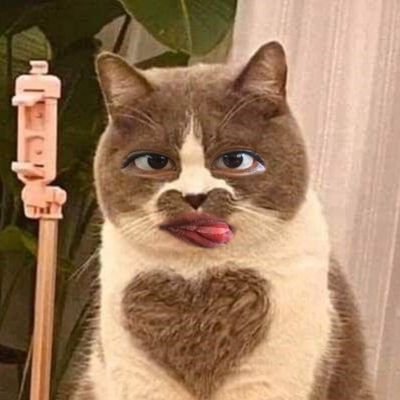 MarianaaJimlow's profile picture. Ni idea