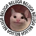 Foster Smith - @monkeonvr - Twitter