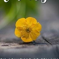 Mary🤗 (@fabiolacostill1) 's Twitter Profile Photo