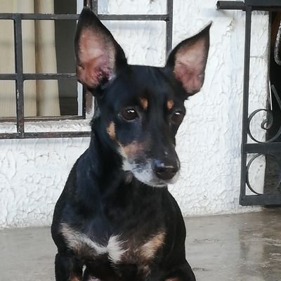 Alexis007023's profile picture. Cristo me fortalece 💗