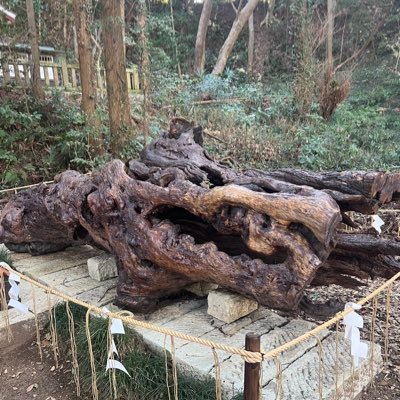 リアル口座あり/開発歴13年を誇るトレーダーが作ったEAを無料配布中/毎日利益報告/為替情報配信/代理店募集/詳細はオープンチャットまで⬇️