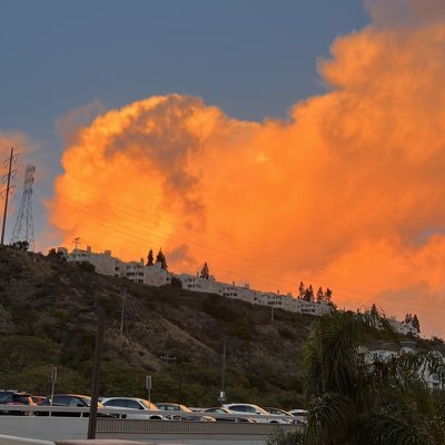 baneenaali's profile picture. 🇮🇶🇮🇶🇮🇶