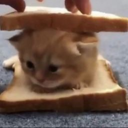 MattTEC6's profile picture. fortnite