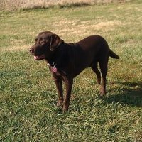 Salty Boomer (@saltyboomer777) 's Twitter Profile