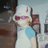 vickigrigera's profile image