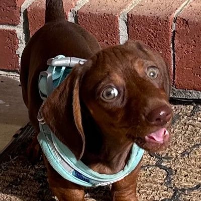 slc2479311's profile picture. 