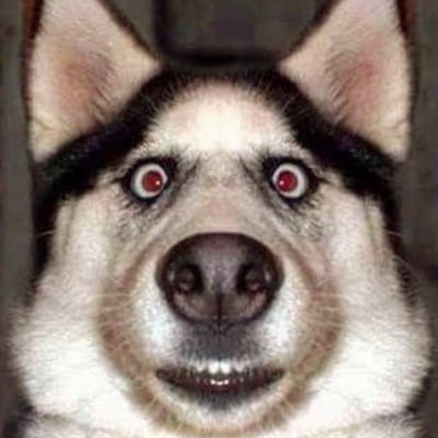 sny22864's profile picture. 