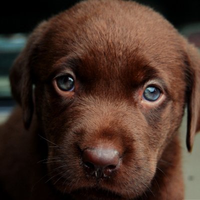 GuinessH37696's profile picture. 