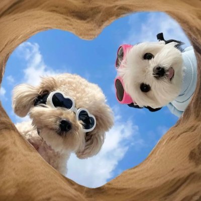 KuAshokoi's profile picture. Success needs the encouragement of the gentleman, but also need the stimulation of the villain.