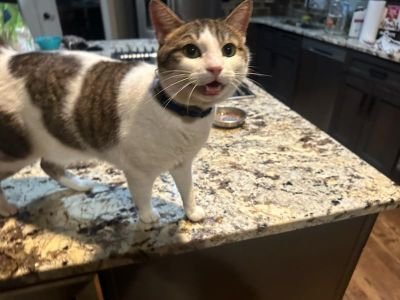 robert37190's profile picture. 