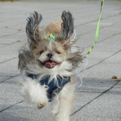 RKF1103's profile picture. 