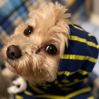 Yuko (@ydbfightyly) Twitter profile photo