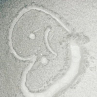 _16ox's profile image