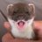 RareFox64's profile image
