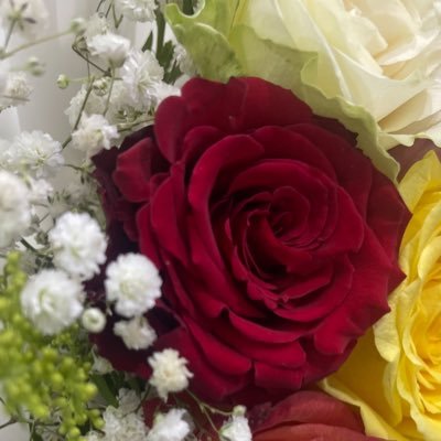 vzxbn12's profile picture. 🕊️إلى أنا ... هُنا تجدون بعض ..التأمل☀️. وقليل من بوح قلمي .. :: ...ورشفة من قهوة اصحابي ☕️ تصويري لاعلاقة له بالفوتوشوب 📸