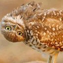 Thea Clark - @ClarkThea72178 - Twitter