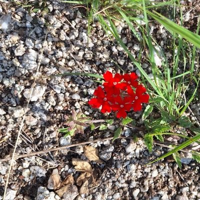 racgris23's profile picture. 