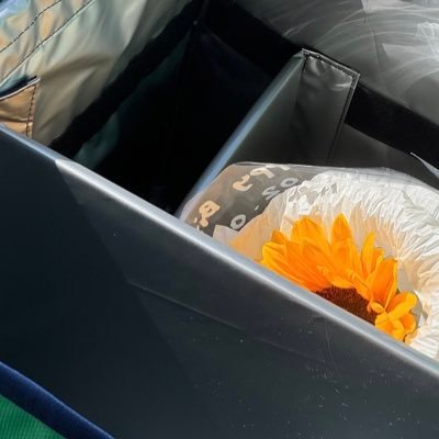 alxn0xy's profile picture. 