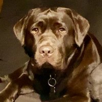 Jefinner Noha 🇺🇸🇺🇸🍊🍀☘️ (@jefinnernoha) 's Twitter Profile