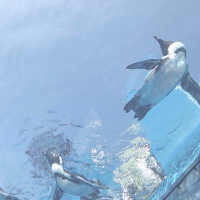 sora_sora_sorap's profile picture. 人生の男→大原空くん