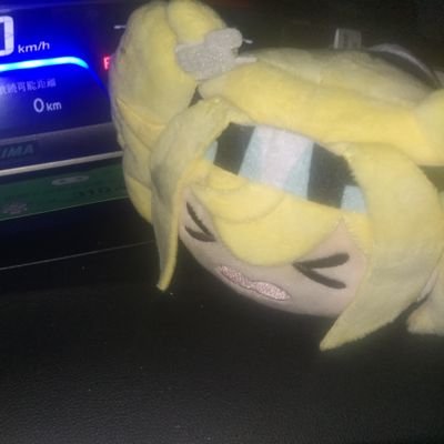 tom41さんのプロフィール画像