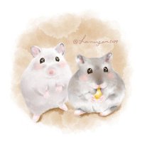 ゆい🐹🐹🐹🐹🐹(@hamuyan0109) 's Twitter Profile Photo