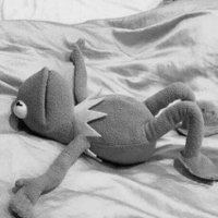 The Tortured Kermie Department (@1mtheproblem) 's Twitter Profile