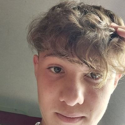 BernardoGregio Profile Picture